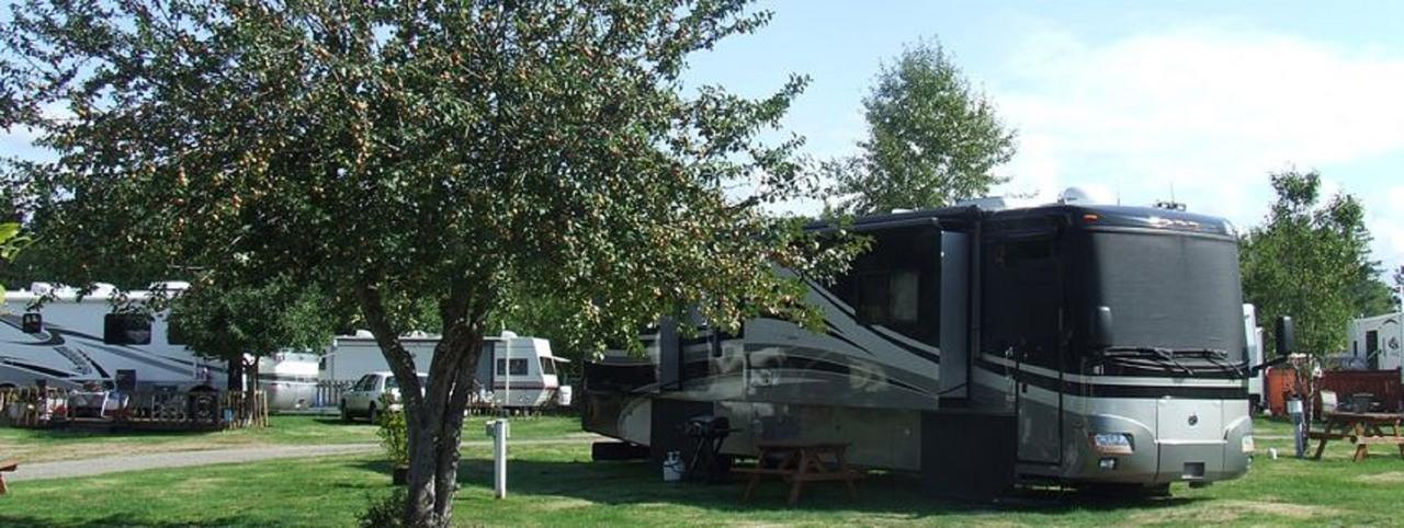 Orchard Queen Motel & Rv Park Middleton Exteriér fotografie